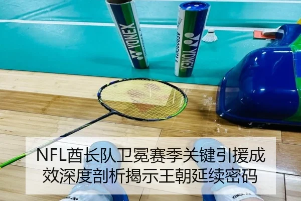 NFL酋长队卫冕赛季关键引援成效深度剖析揭示王朝延续密码