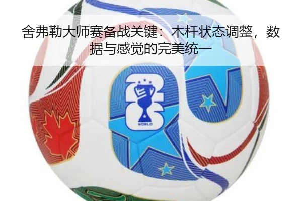 she-fu-lei-da-shi-sai-bei-zhan-guan-jian-mu-gan-zhuang-tai-tiao-zheng-shu-ju-yu-gan-jue-de-wan-mei-tong-yi-2-605.jpg
